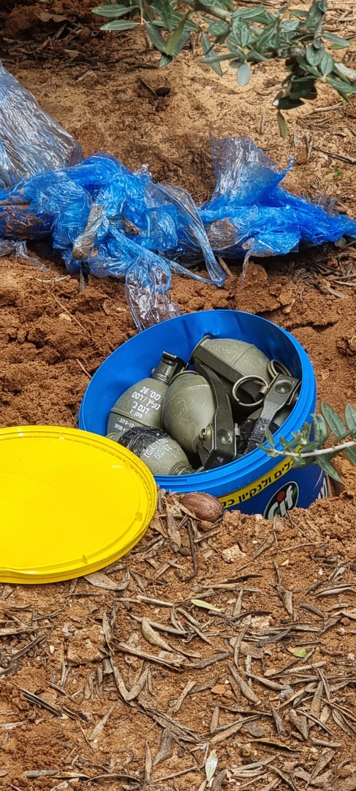 WhatsApp Image 2024-02-12 at 13.16.55.jpeg